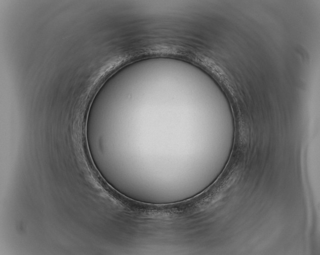 X0000113260625200909241523