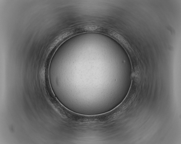 X0000113260626200909241523