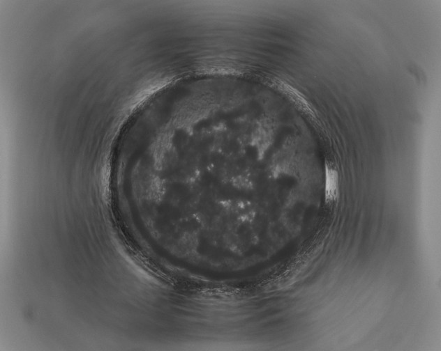 X0000113260627200909241523