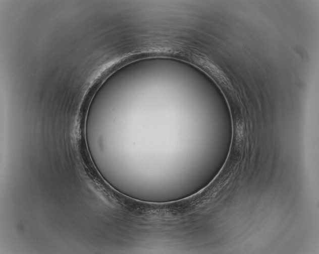 X0000113260628200909241523