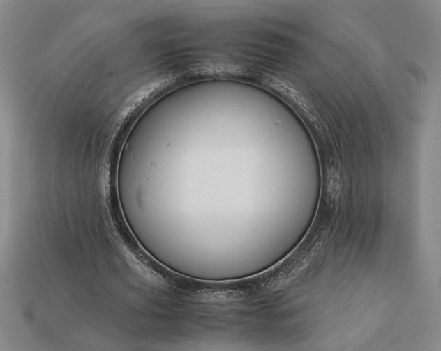 X0000113260629200909241523