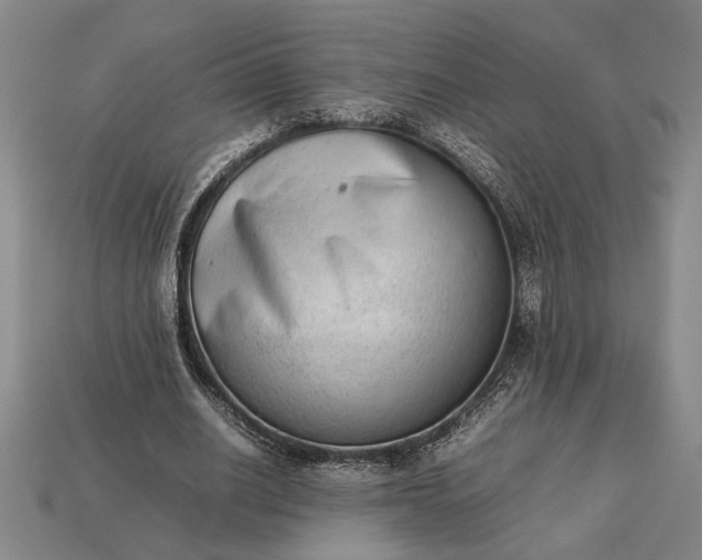 X0000113260630200909241523