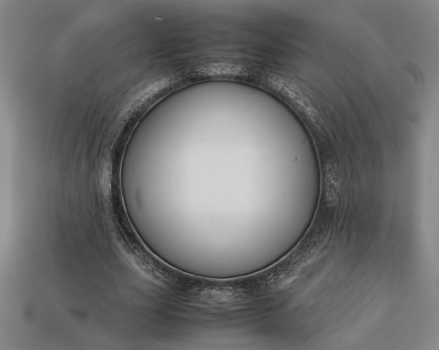 X0000113260631200909241523