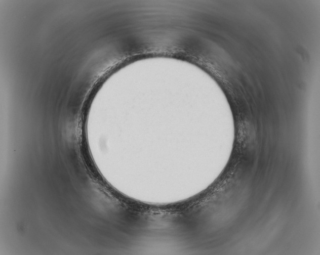 X0000113260632200909241523