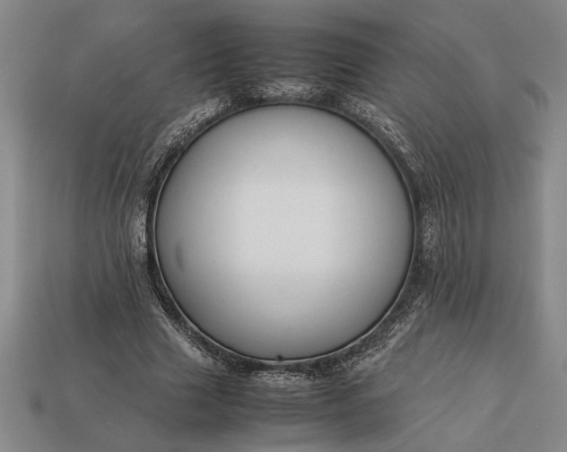 X0000113260633200909241523