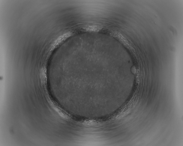 X0000113260634200909241523