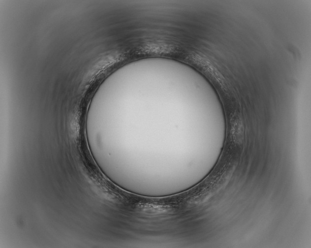 X0000113260635200909241523