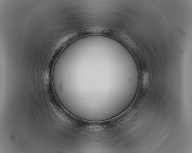 X0000113260636200909241523