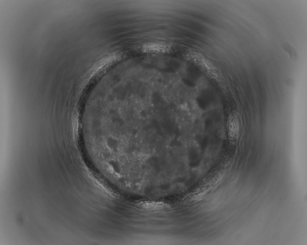 X0000113260637200909241523