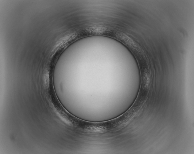 X0000113260638200909241523