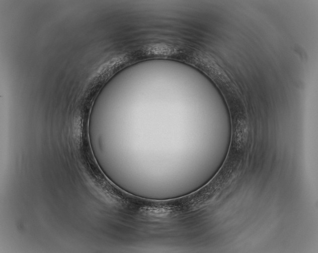 X0000113260639200909241523