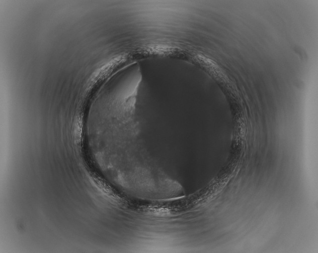 X0000113260640200909241523