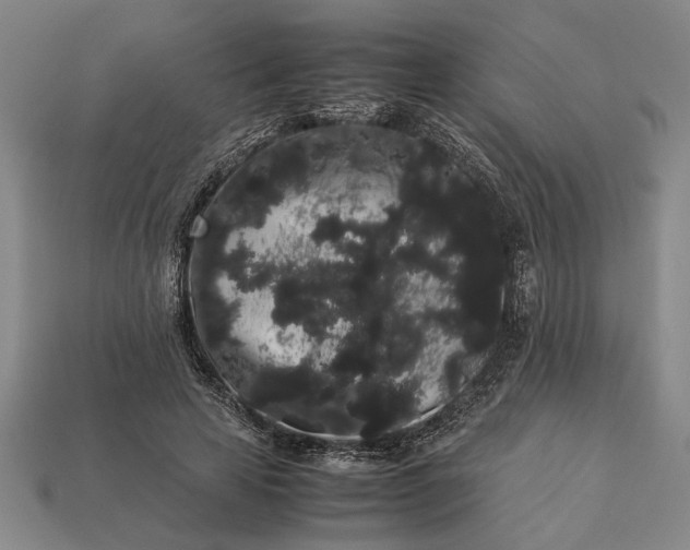 X0000113260641200909241523