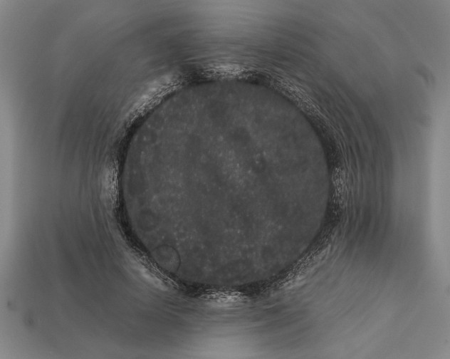 X0000113260642200909241523