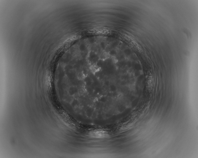 X0000113260643200909241523