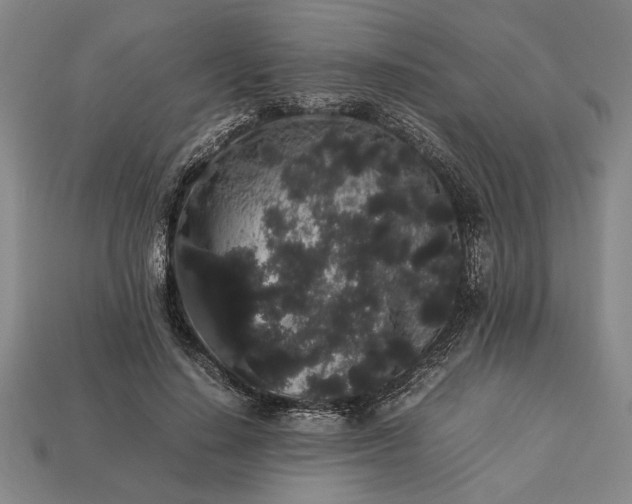 X0000113260644200909241523