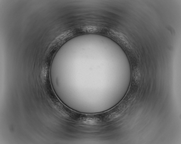 X0000113260645200909241523