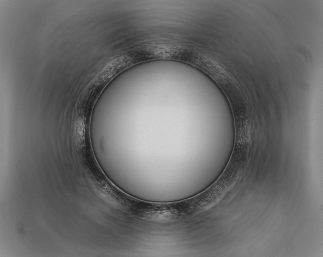 X0000113260646200909241523