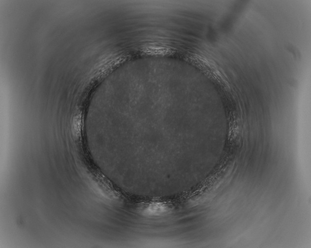 X0000113260647200909241523