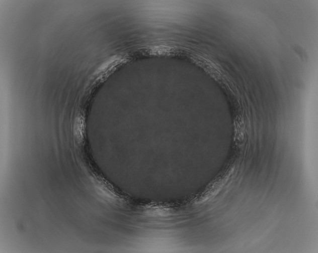 X0000113260648200909241523