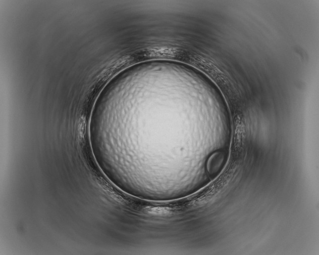 X0000113260649200909241523