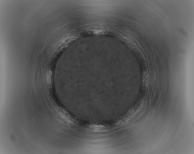 X0000113260650200909241523