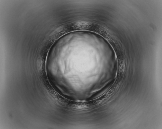 X0000113260651200909241523