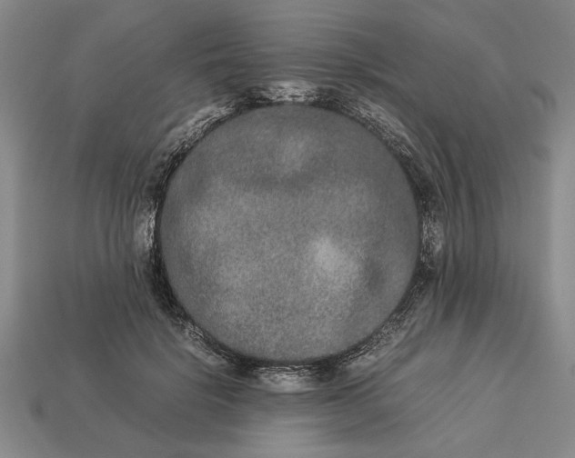 X0000113260652200909241523