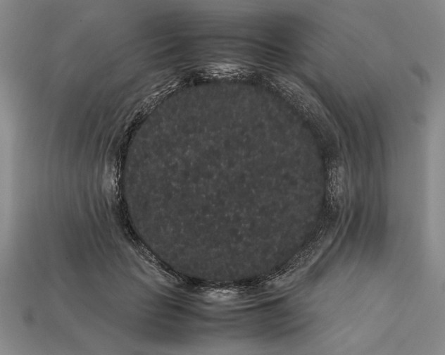 X0000113260653200909241523