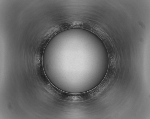 X0000113260654200909241523