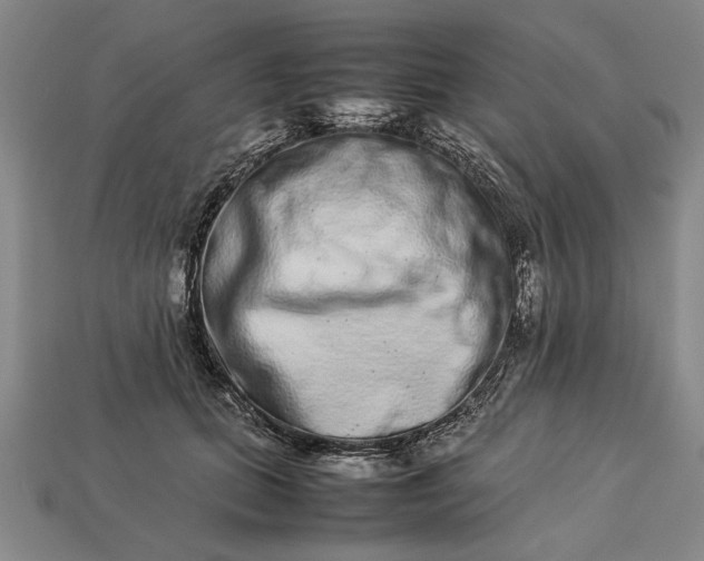 X0000113260655200909241523