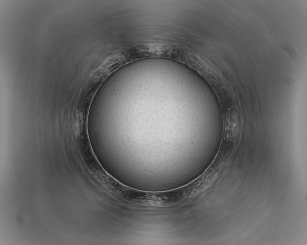 X0000113260656200909241523