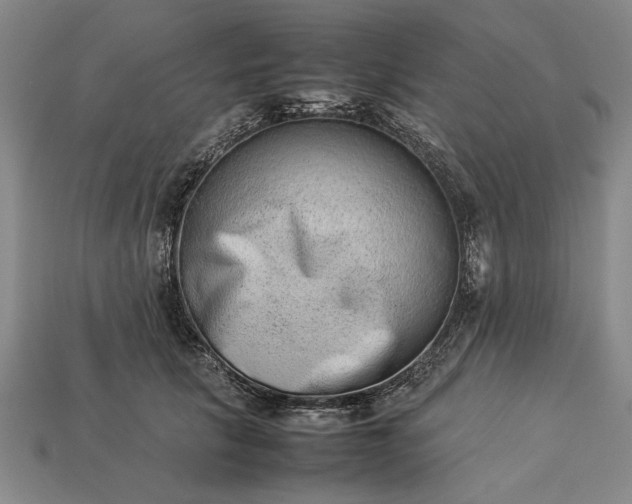 X0000113260657200909241523