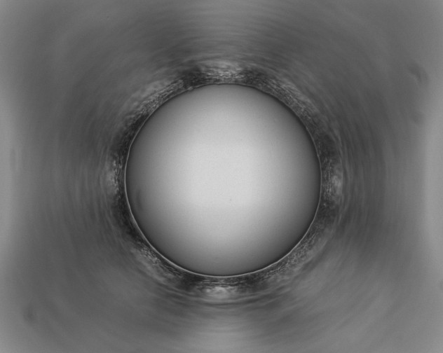 X0000113260658200909241523