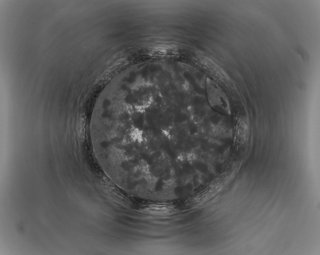 X0000113260659200909241523