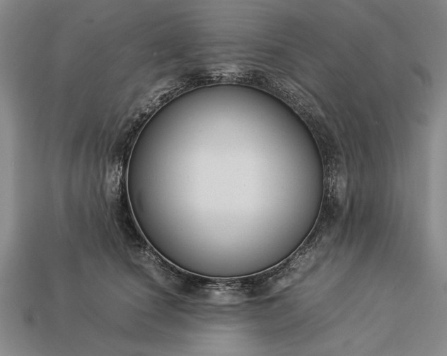 X0000113260660200909241523