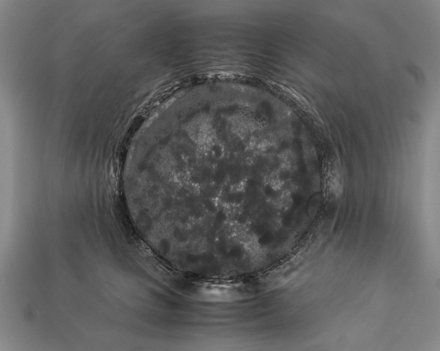 X0000113260661200909241523