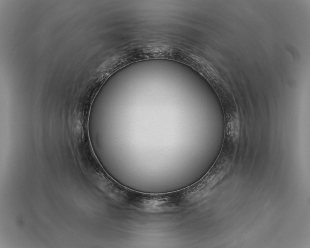 X0000113260662200909241523