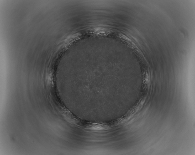 X0000113260663200909241523