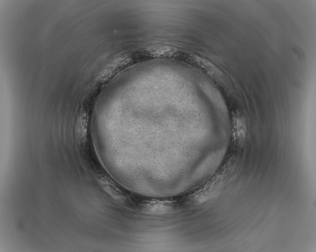 X0000113260664200909241523