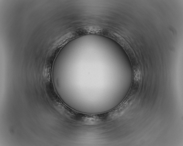 X0000113260666200909241523