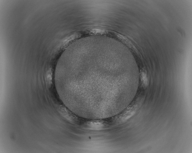 X0000113260668200909241523