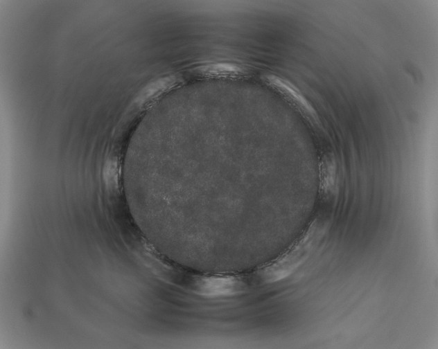 X0000113260669200909241523