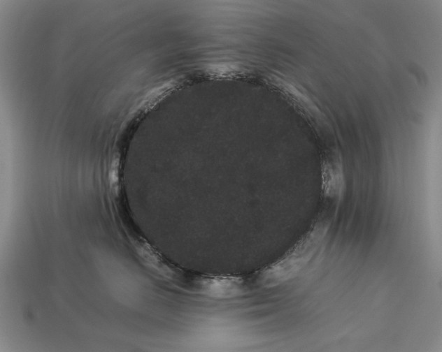 X0000113260670200909241523