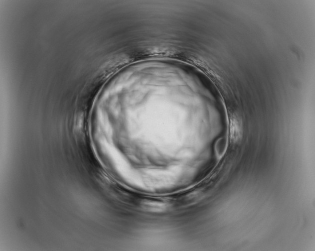 X0000113260671200909241523