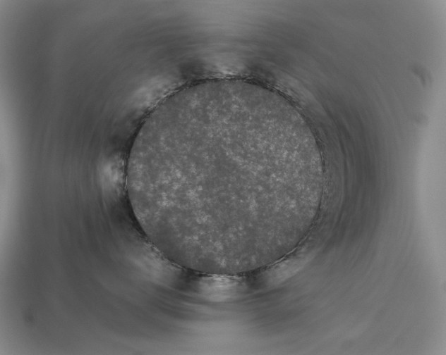 X0000113260672200909241523