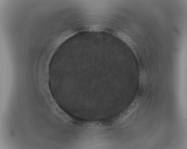 X0000113260673200909241523