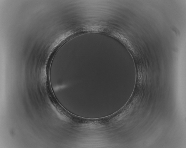 X0000113260674200909241523