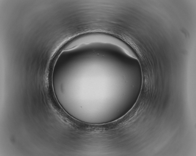 X0000113260676200909241523