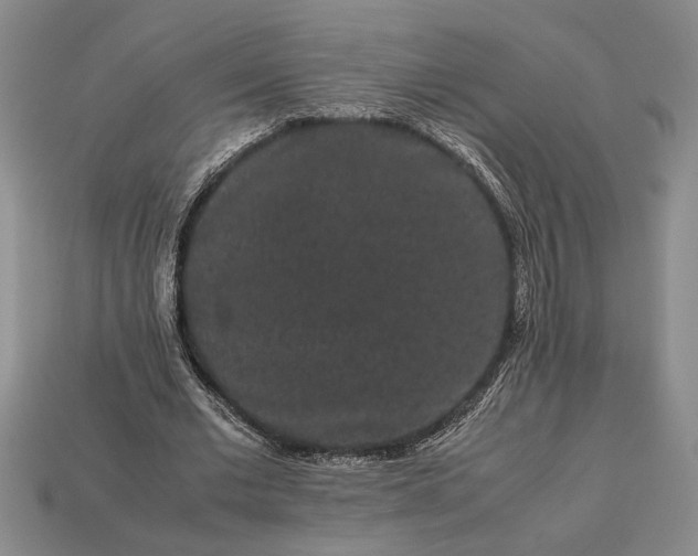 X0000113260677200909241523